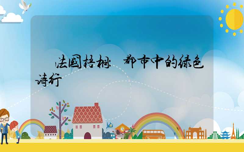  法国梧桐：都市中的绿色诗行